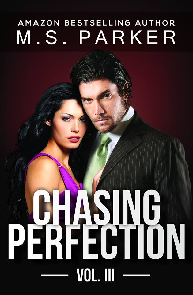 chasingperfection3cover